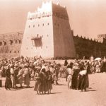 نخلة في وادي حنيفة