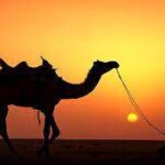 شوق وحنين