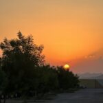 دمعةٌ على جبين الأمس