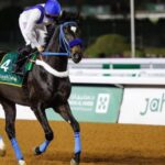 غداً الجمعة .. انطلاق مهرجان كؤوس الملوك والأمراء في نسخته التاسعة 2024