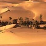 أغنية على مقام الوطن