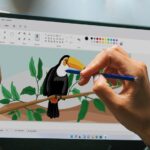 المعرفة والإبداع بين القلم والحاسوب