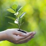 يُنَزِّلُ بقدَر