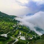 المليحة