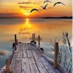 تناهيدُ قلب