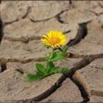 ما بين إشراقين