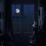 أُنْثَى الصَّبْرِ