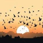 قيامة القلب