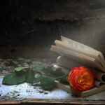 ممتلئة في زمن الفارغين