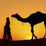 كلٌّ يغني على ليلاه