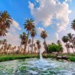 ظِلٌّ من سُلَالةِ الحُبِّ