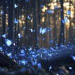 تُغني للمساء