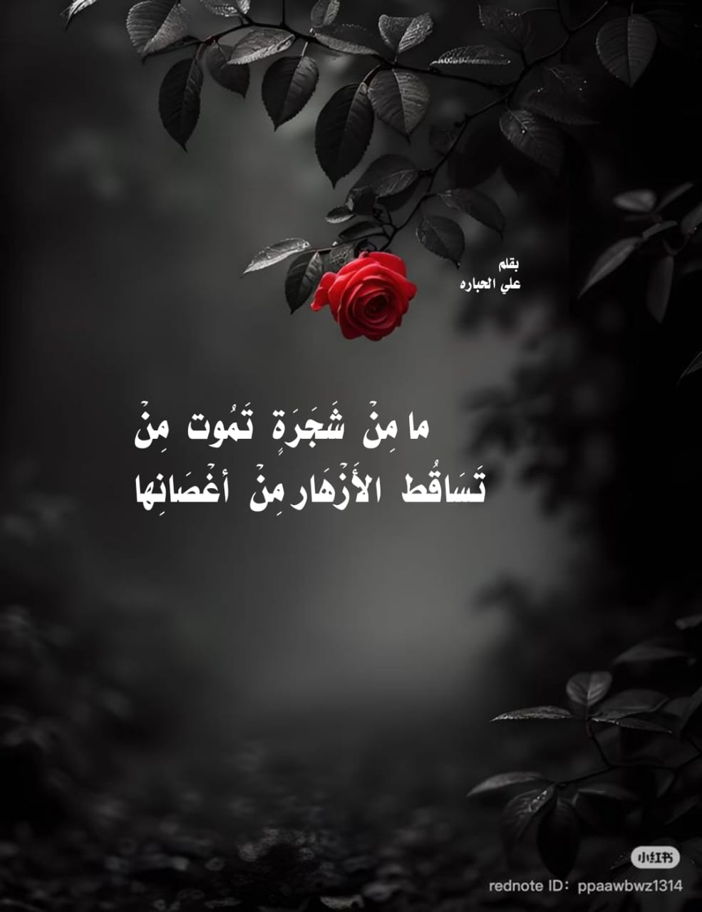 ترنيمة العدد (١٢٣)