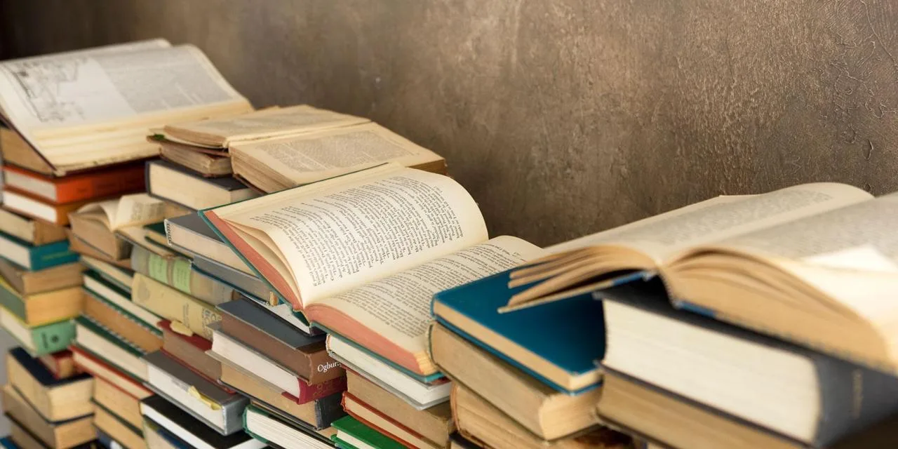 الرواية الإبداعية.. بين الموهبة الذاتية وأصول الاحترافية