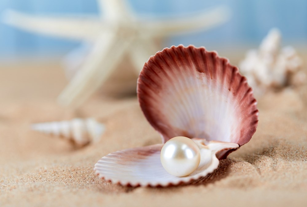 اللؤلؤ.. رمز الأدب وذاكرة الثقافة