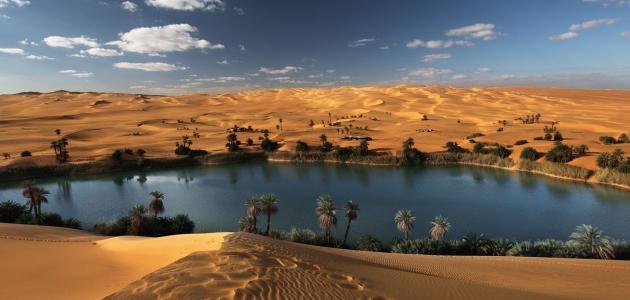 سليسل العظيم