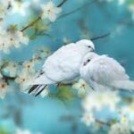 شغف التساؤل